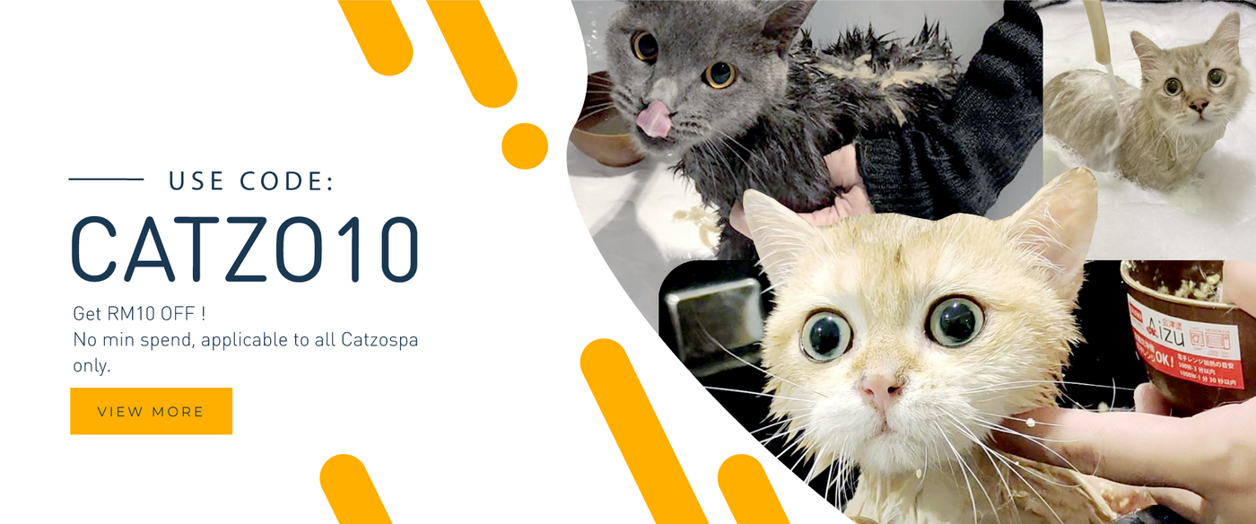 Nur iman online cat boarding